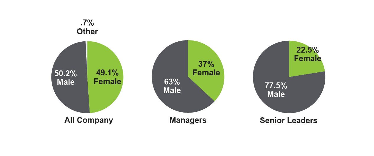 Gender Diversity Pie Chart